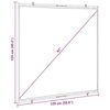 vidaXL Projection Screen Wall-Hanging 67 Inch 1:1