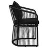 vidaXL Garden Chair. Garden Chairs Set of 2 Black