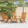 vidaXL Garden Chair Set of 3 Teak Solid teak wood Medium Foldable