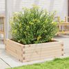 vidaXL Garden Planter Natural Wood Solid Pine Wood Medium Garden Planter