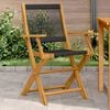 vidaXL Garden Chair Set of 2 Black Solid acacia wood, Polypropylene