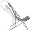 vidaXL Beach Chair Set of 2 Grey Powder-coated steel Standard