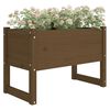 vidaXL Planter Honey Brown Solid Pine Wood Medium Decorative Inlays