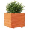 vidaXL Garden Planter Wax Brown Solid Pine Wood 31.5 x 31.5 x 28.3 in
