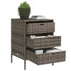 vidaXL Garden Storage Cabinet Gray PE Rattan, Powder-Coated Steel Medium