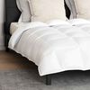 vidaXL Duvet Set with Pillow 3 pcs White Down Feather