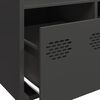 vidaXL Highboard Black Cold-rolled steel Medium Highboard Rectangular