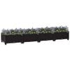 vidaXL Raised Bed 63"x15.7"x9.1" Polypropylene