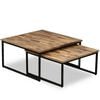 vidaXL Coffee Table Set of 2 Brown Reclaimed teak Large & Small
