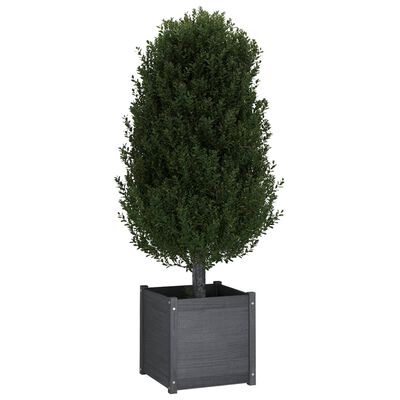 vidaXL Garden Planters 2 pcs Gray 19.7"x19.7"x19.7" Solid Wood Pine