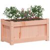 vidaXL Garden Planter Set of 2 Natural wood Solid douglas wood