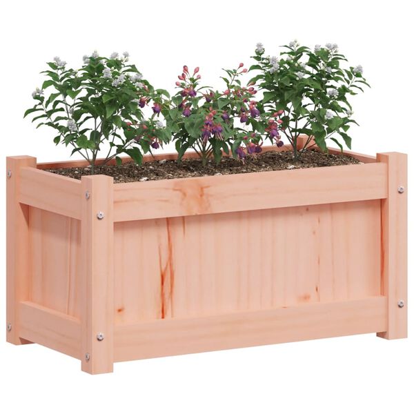 vidaXL Garden Planter Set of 2 Natural wood Solid douglas wood