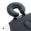 vidaXL 4-Zone Foldable Massage Table Aluminum Black and White