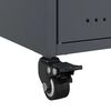 vidaXL Bedside Cabinet Anthracite Cold-rolled steel Bedside Cabinet