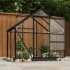 vidaXL Greenhouse Anthracite Aluminum, steel, glass Large