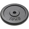 vidaXL Weight Plates 2 pcs 2x22.0 lb Cast Iron