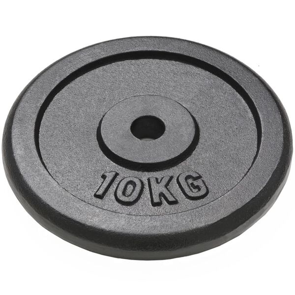 vidaXL Weight Plates 2 pcs 2x22.0 lb Cast Iron