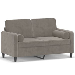 vidaXL 2-seater Sofa Light grey Velvet (100% polyester), metal, plywood