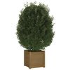 vidaXL Planter Honey brown Solid pinewood 15.7x15.7x15.7 in Planters