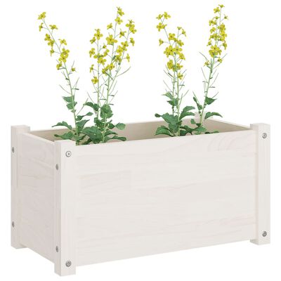 vidaXL Garden Planters 2 pcs White 23.6"x12.2"x12.2" Solid Wood Pine