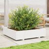 vidaXL Garden Planter White Solid pinewood Large Sturdy Garden Planter