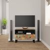 vidaXL TV Cabinet Multicolor Solid reclaimed wood, engineered wood, iron
