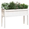vidaXL Garden Planter Set of 2 White Solid pine wood Extra Long