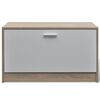 vidaXL Shoe Cabinet Oak and White Engineered Wood, Plastic, Aluminum Alloy
