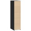 vidaXL Highboard Black Engineered wood Medium Highboard Rectangular