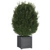 vidaXL Planter Set of 2 Gray Solid Pinewood Medium Durable Planter