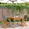 vidaXL Garden Chair Set of 2 Anthracite