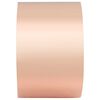 vidaXL Copper Tape Copper 787.40 x 2.76 in Copper
