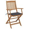 vidaXL Garden Chair Set of 6 Anthracite, Natural Wood