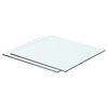 vidaXL Glass Panel Set of 2 Clear Tempered Glass 15.7 x 11.8 in Sturdy