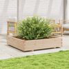 vidaXL Garden Planter Natural Wood Solid Pine Wood Large Durable
