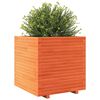 vidaXL Garden Planter Wax brown Solid pine wood Large Decorative Inlays