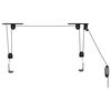 vidaXL Bike Hoists with Ceiling Mount 2 pcs 44.1 lb