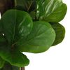 vidaXL Artificial Fiddle Leaf Fig Tree Green PEVA Medium