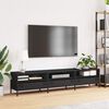 vidaXL TV Cabinet Black Cold-rolled Steel 79.5 x 15.4 x 17.1 in