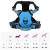 vidaXL Dog Harness Blue Polyester Small Lightweight Small Dog Harness