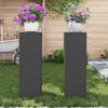 vidaXL Plant Stand 2 pcs Black 9.45 x 9.45 x 29.53 in Steel