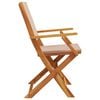 vidaXL Garden Chair Set of 4 Taupe