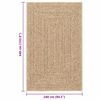 vidaXL Rug Beige Polypropylene 63 x 90 in UV-resistant materials Rug