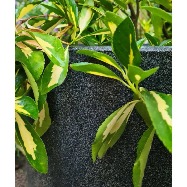 Capi Standing Planter Grey Polyethylene Medium Lightweight Flower Pot