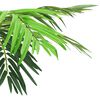 vidaXL Artificial Phoenix Palm Green Plastic Large Decorative Inlays