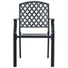 vidaXL Garden Chair Set Anthracite Powder-coated steel Stackable