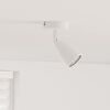 vidaXL Ceiling Spotlight White 8 x 8 x 14.5 cm Steel