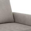 vidaXL 2-seater Sofa Light grey Velvet (100% polyester), metal, plywood