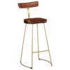 vidaXL Bar Stool Set of 2 Brown and Gold Solid Mango Wood, Iron Standard