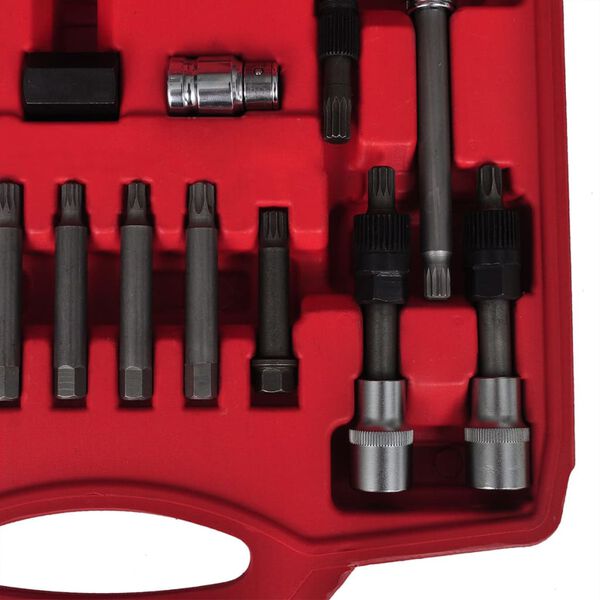 vidaXL 22 pcs Alternator Freewheel Removal Set